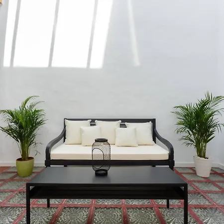 Sh La Casa Del Loro Amplio Apartment Cadiz