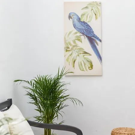 Sh La Casa Del Loro Amplio