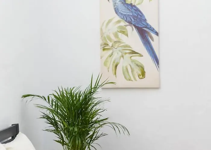 Sh La Casa Del Loro. Amplio Apartamento.